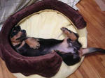 DSC02839.JPG