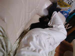 DSC02984.JPG