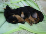 DSC03014.JPG