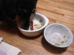 DSC03044.JPG