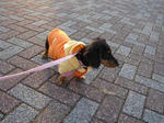 DSC03059.JPG