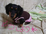 DSC03062.JPG