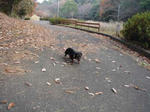 DSC03086.JPG