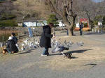 DSC03213.JPG