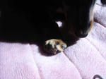 DSC03235.JPG