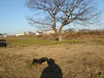 DSC03240.JPG