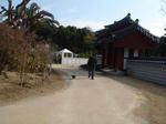 DSC03254.JPG