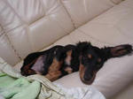 DSC03022.JPG