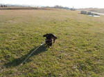 DSC03273.JPG