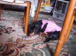 DSC03387.JPG