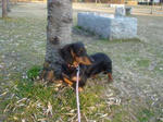 DSC03463.JPG