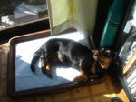 DSC03467.JPG