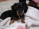 DSC03485.JPG