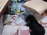 DSC03472.JPG