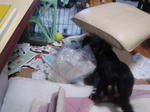DSC03474.JPG
