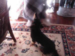 DSC03490.JPG