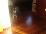 DSC03493.JPG