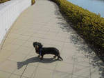DSC03522.JPG