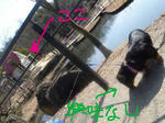 DSC03529.JPG