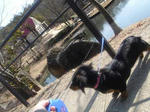 DSC03530.JPG