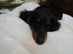 DSC03504.JPG