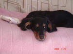 DSC03573.JPG