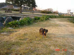 DSC03600.JPG