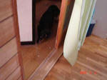 DSC03624.jpg
