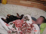 DSC03650.JPG