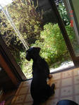 DSC03655.JPG