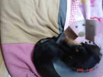 DSC03698.JPG