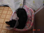 DSC03701.JPG