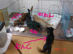 DSC03704.JPG
