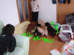 DSC03707.JPG