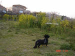 DSC03724.JPG