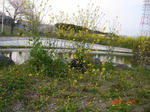 DSC03731.JPG