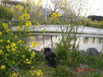 DSC03732.JPG