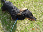 DSC03790.jpg