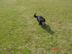 DSC03786.jpg