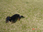 DSC03785.jpg