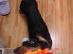 DSC04032.JPG