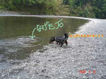 7a26ef16jpeg