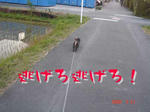 490e052fjpeg