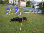 3e9ccd13jpeg
