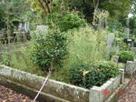 DSC01572.JPG