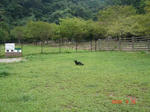 DSC01571.JPG