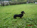DSC01568.JPG
