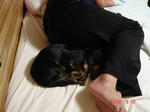 DSC01595.JPG