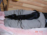 DSC01559.JPG
