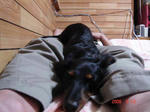 DSC01562.JPG